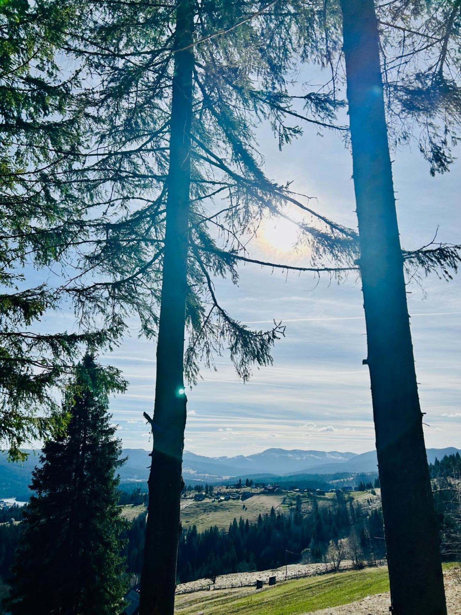 Tiarra Mountain Lodge Beliş Exteriér fotografie